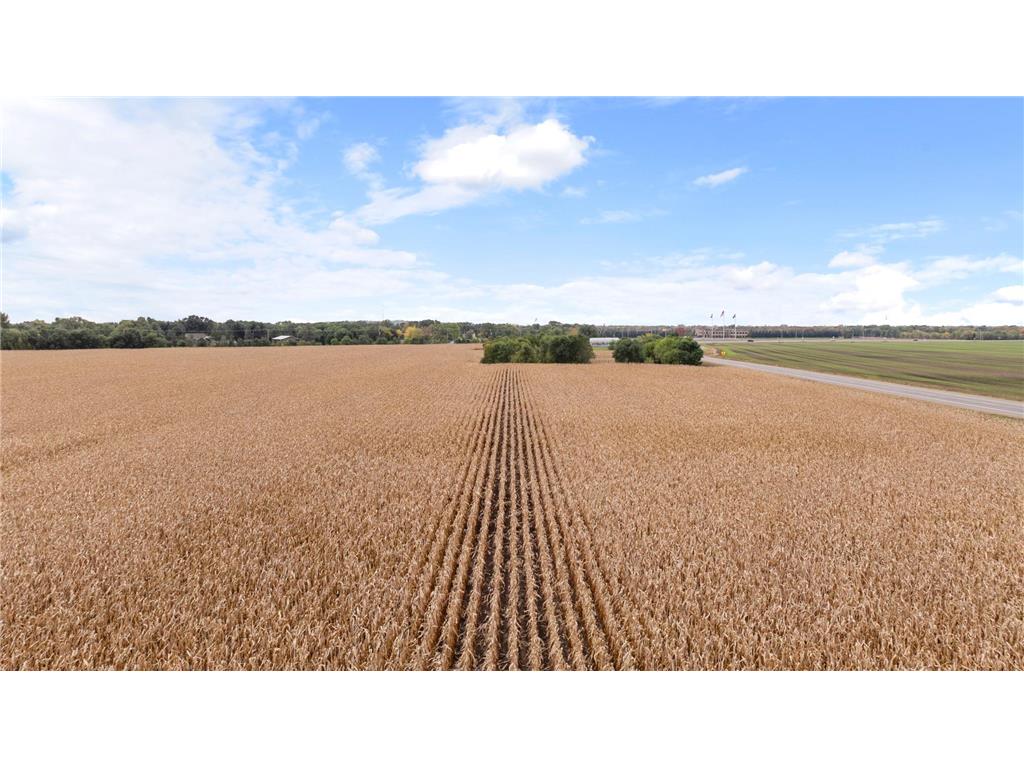 19786 Highway 25 NW Big Lake Twp MN 55309 6800957 image32