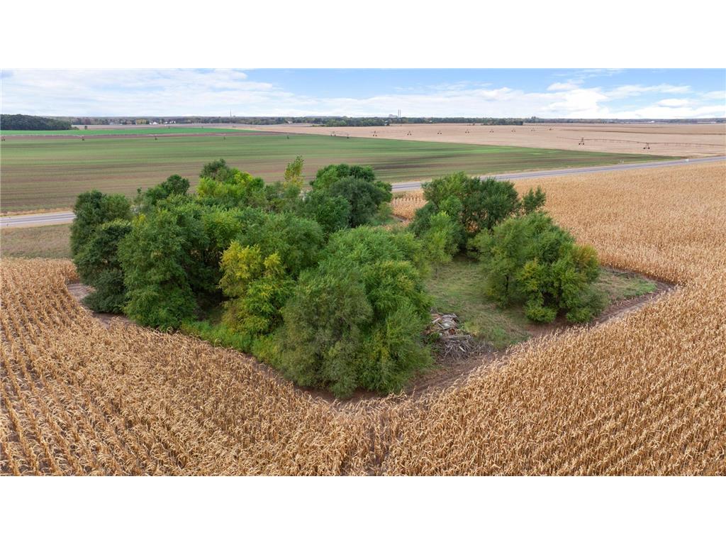 19786 Highway 25 NW Big Lake Twp MN 55309 6800957 image35