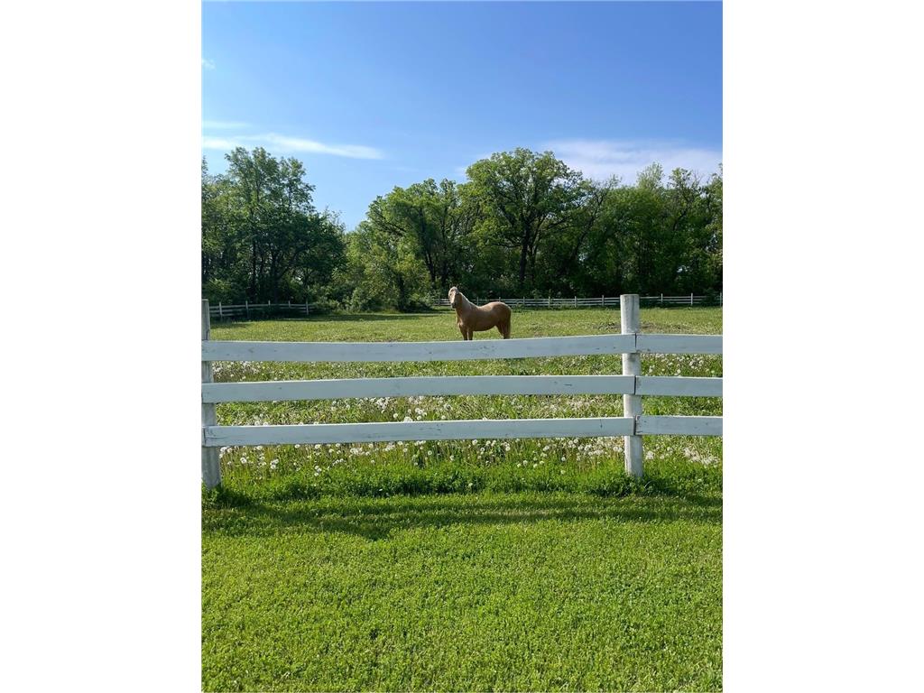 1979 175th Avenue Hallock MN 56728 7082695 image25