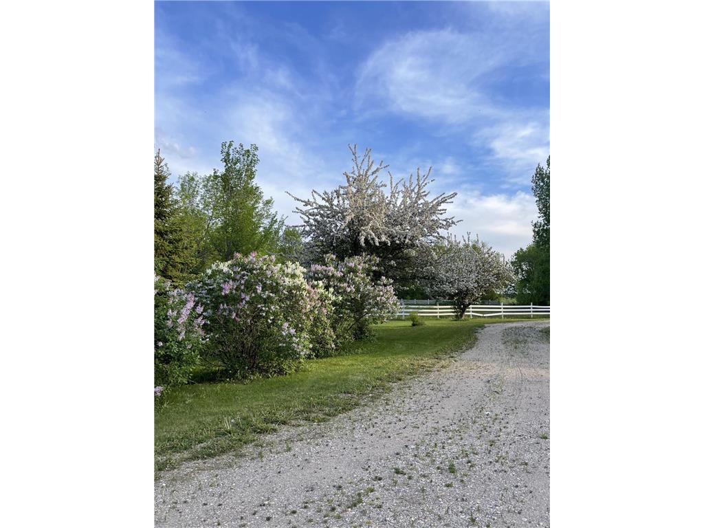 1979 175th Avenue Hallock MN 56728 7082695 image30
