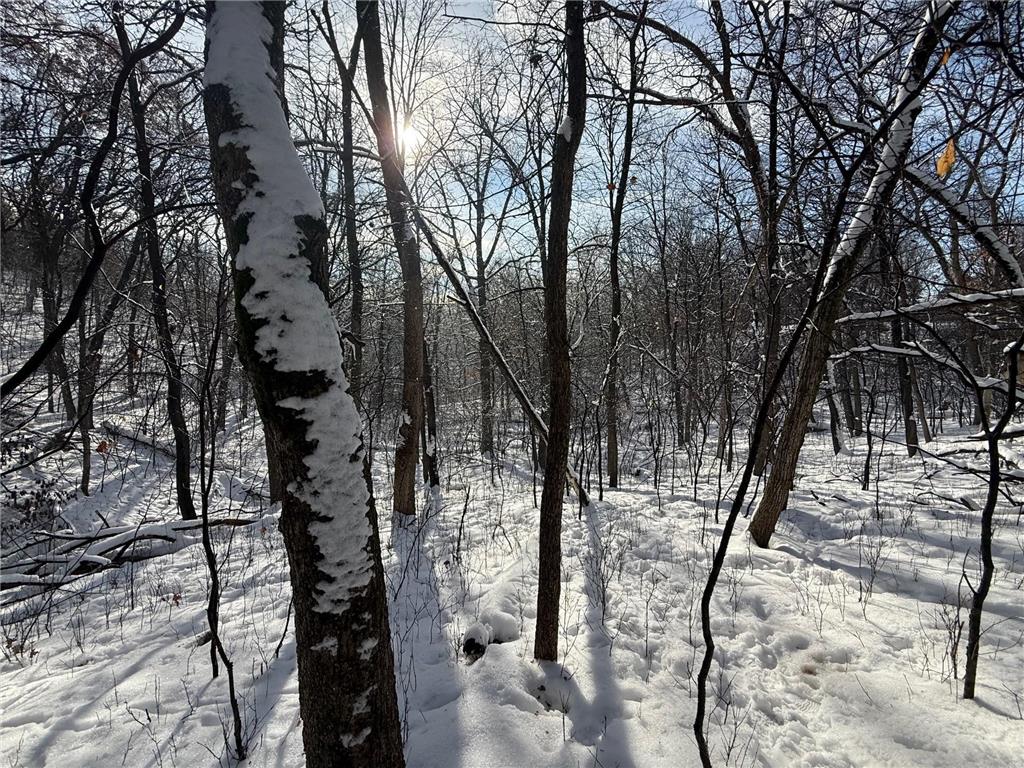 197xx Proctor Road NW Elk River MN 55330 7005903 image1