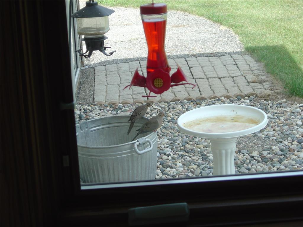 19800 Stephan Drive Minnewaska Twp MN 56381 6740135 image52