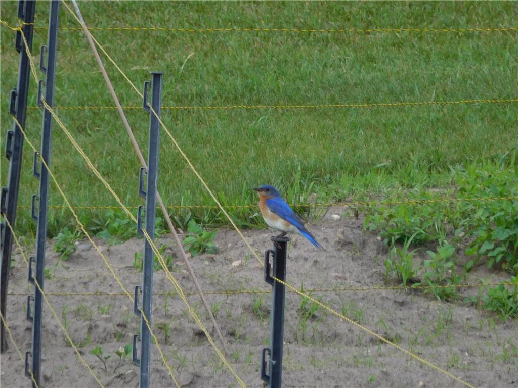 19800 Stephan Drive Minnewaska Twp MN 56381 6740135 image55