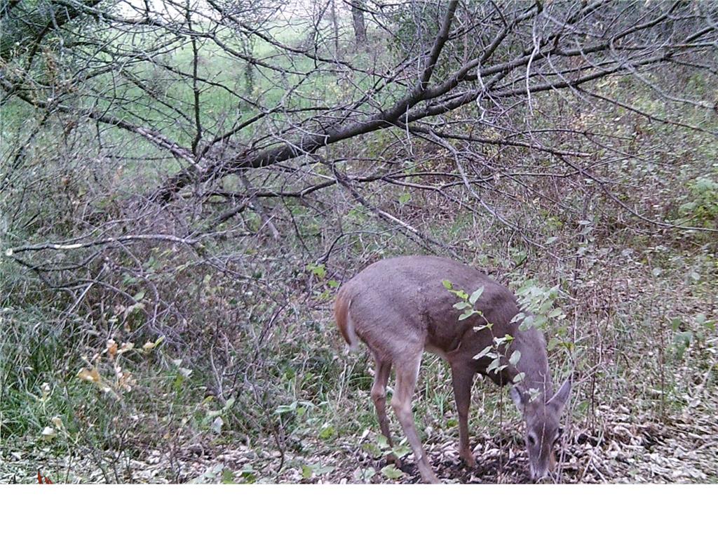 19800 Stephan Drive Minnewaska Twp MN 56381 6740135 image57