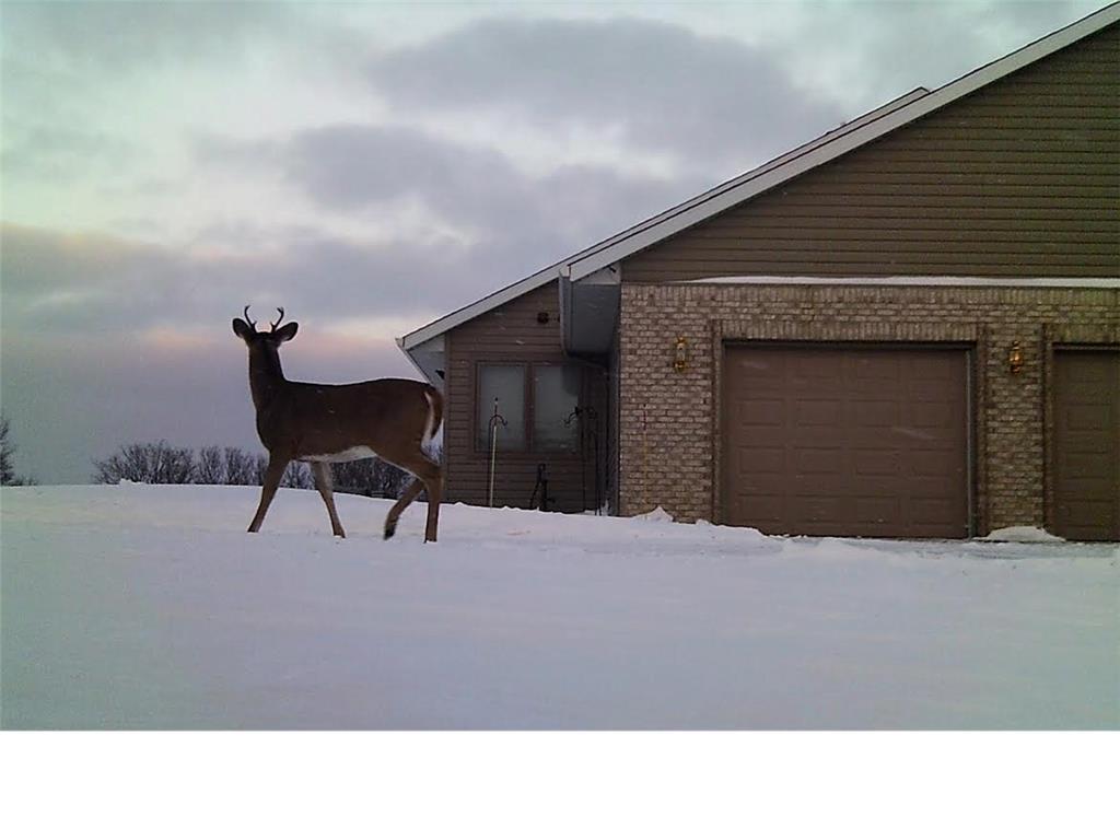19800 Stephan Drive Minnewaska Twp MN 56381 7084418 image58