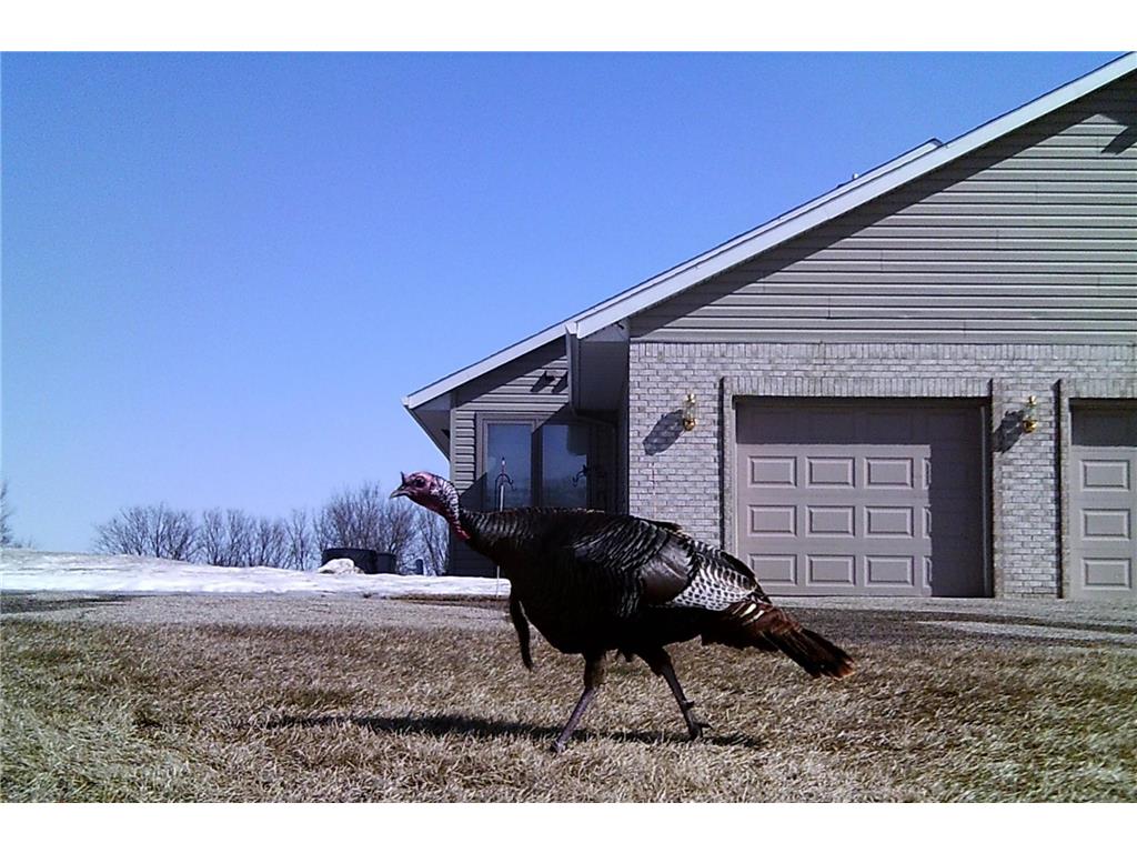 19800 Stephan Drive Minnewaska Twp MN 56381 7084418 image59