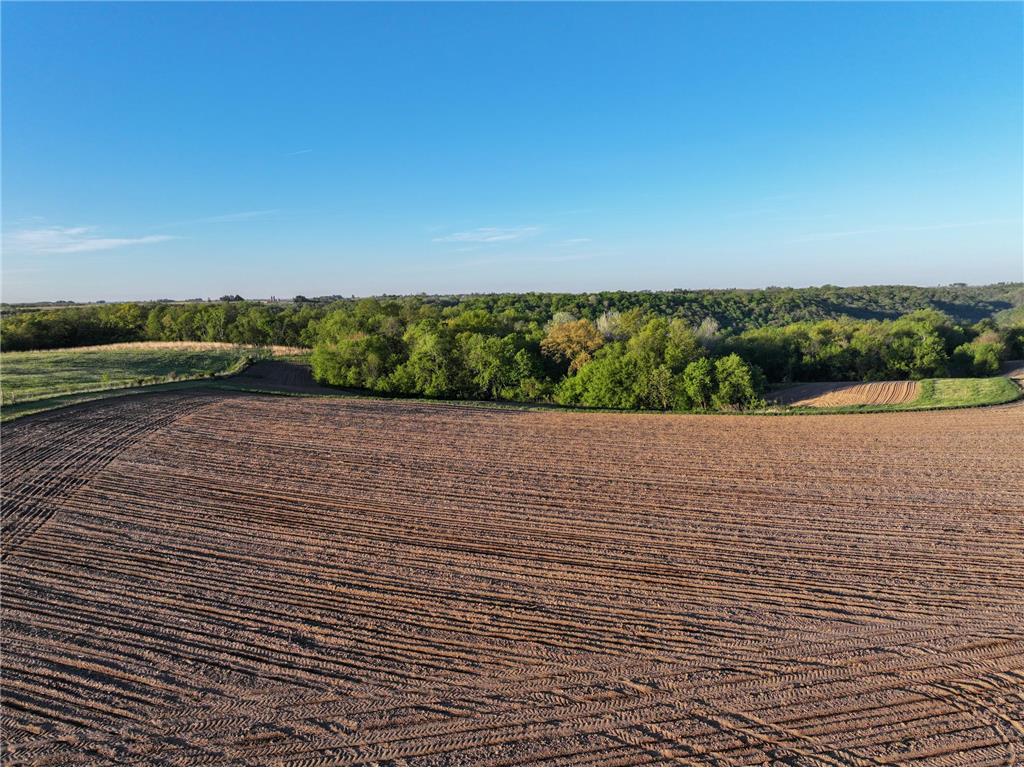 19807 Balentine Road Caledonia MN 55921 7074217 image62