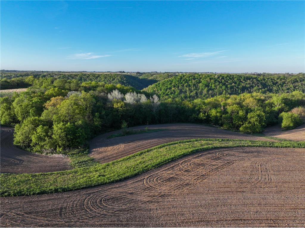19807 Balentine Road Caledonia MN 55921 7074217 image64