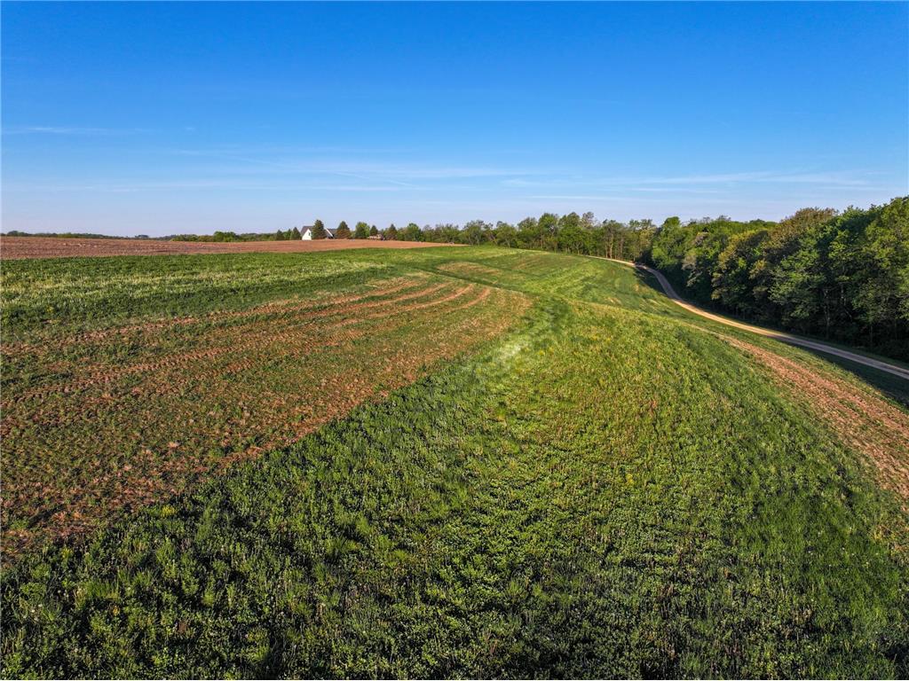 19807 Balentine Road Caledonia MN 55921 7074217 image68
