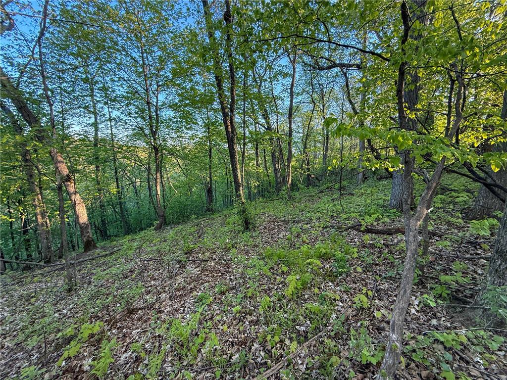 19807 Balentine Road Caledonia MN 55921 7074217 image72