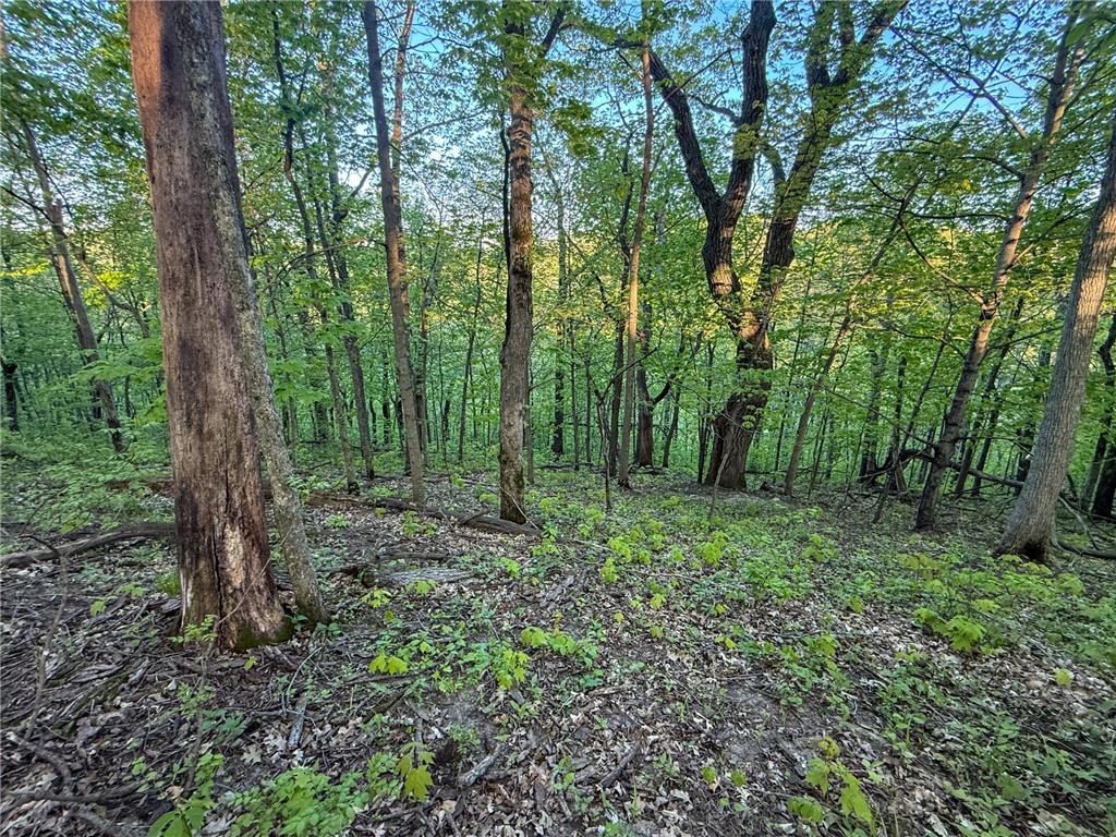 19807 Balentine Road Caledonia MN 55921 7074217 image73