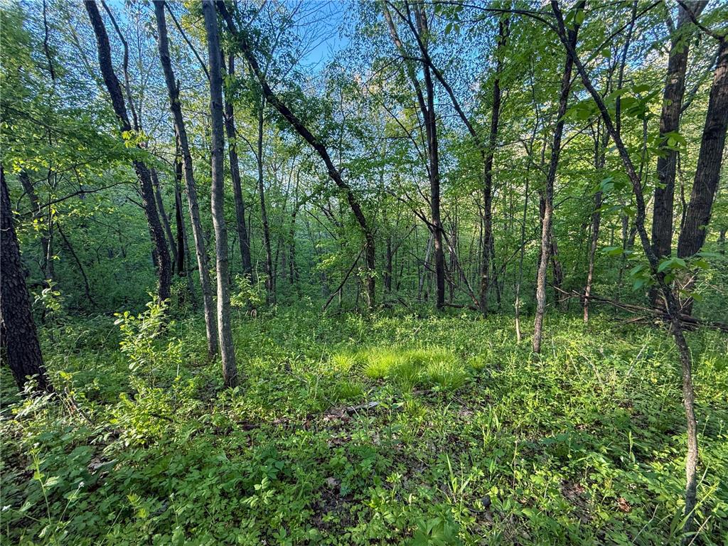 19807 Balentine Road Caledonia MN 55921 7074217 image76