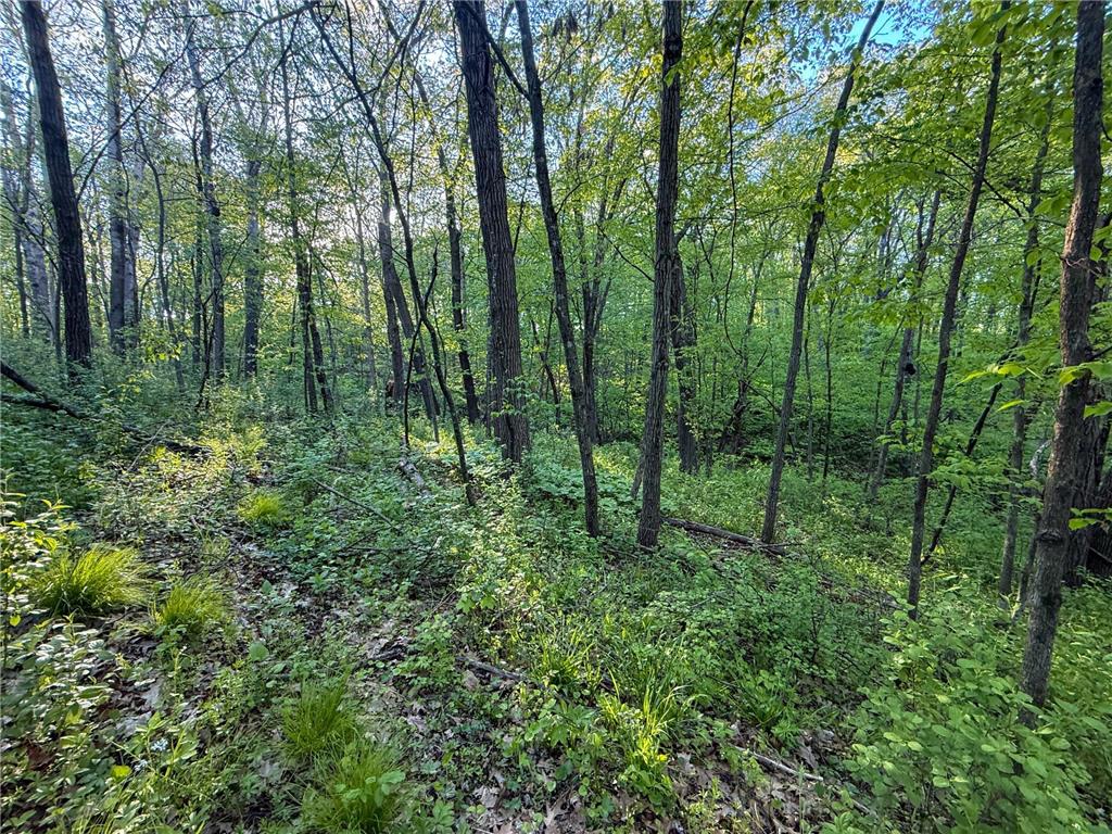 19807 Balentine Road Caledonia MN 55921 7074217 image77