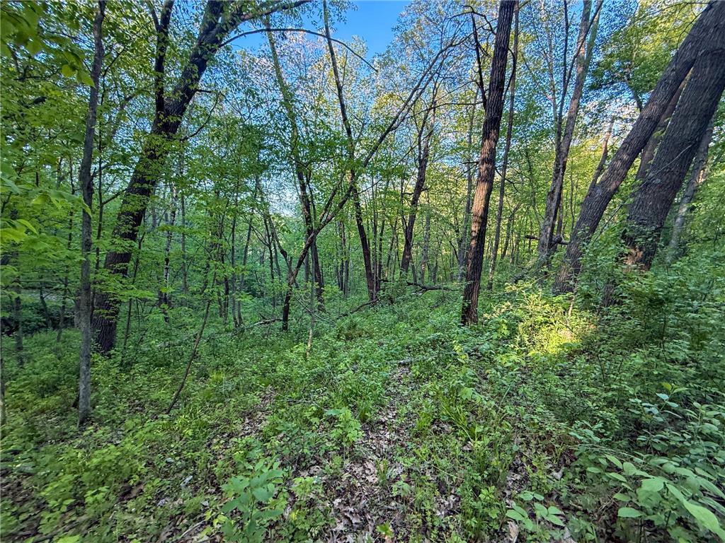 19807 Balentine Road Caledonia MN 55921 7074217 image78