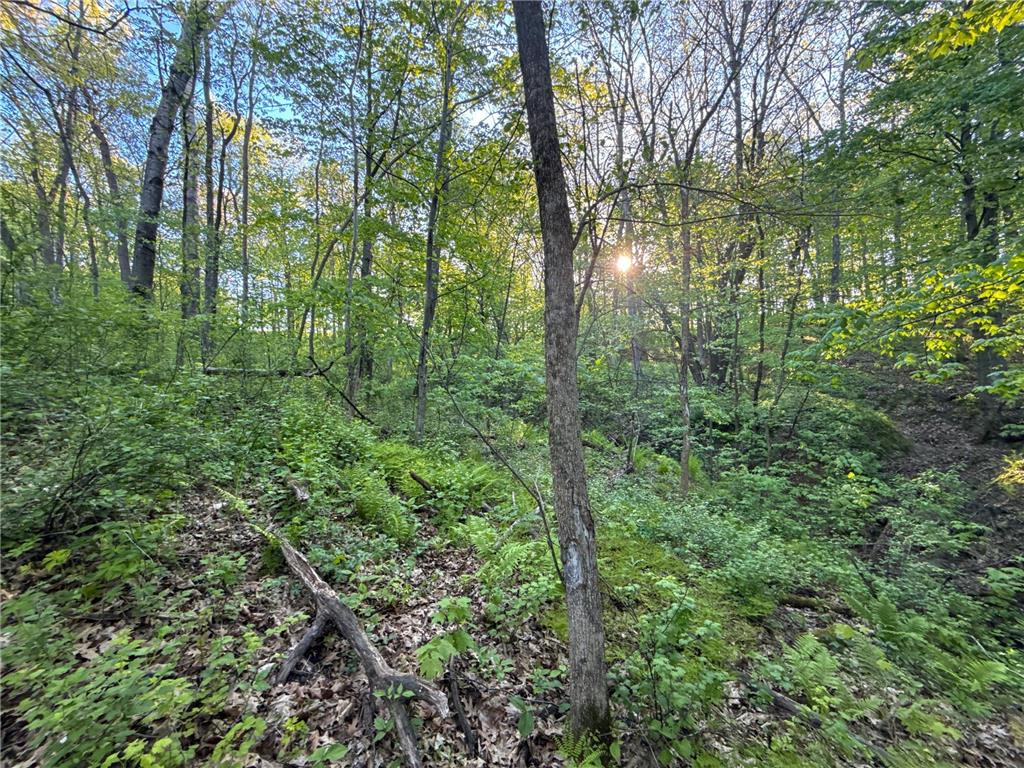 19807 Balentine Road Caledonia MN 55921 7074217 image79