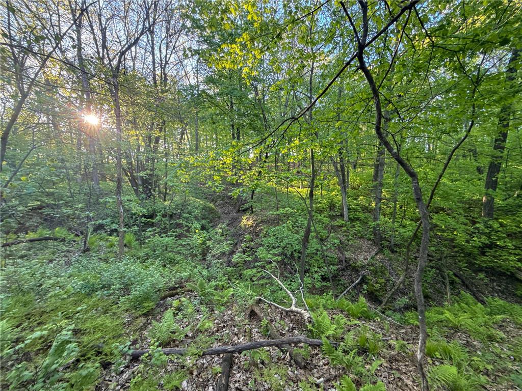 19807 Balentine Road Caledonia MN 55921 7074217 image80