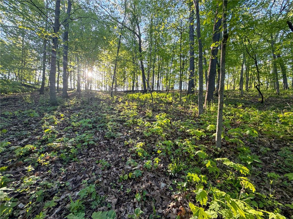 19807 Balentine Road Caledonia MN 55921 7074217 image81