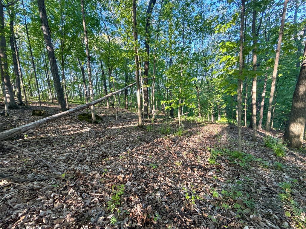 19807 Balentine Road Caledonia MN 55921 7074217 image82