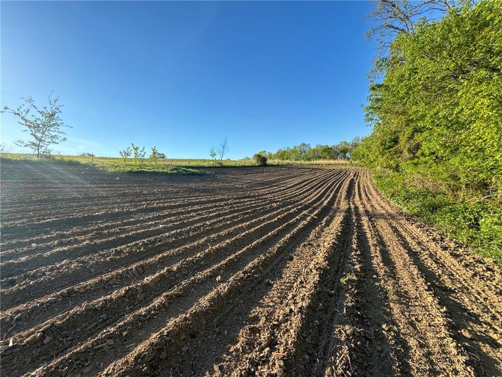 19807 Balentine Road Caledonia MN 55921 7074217 image83