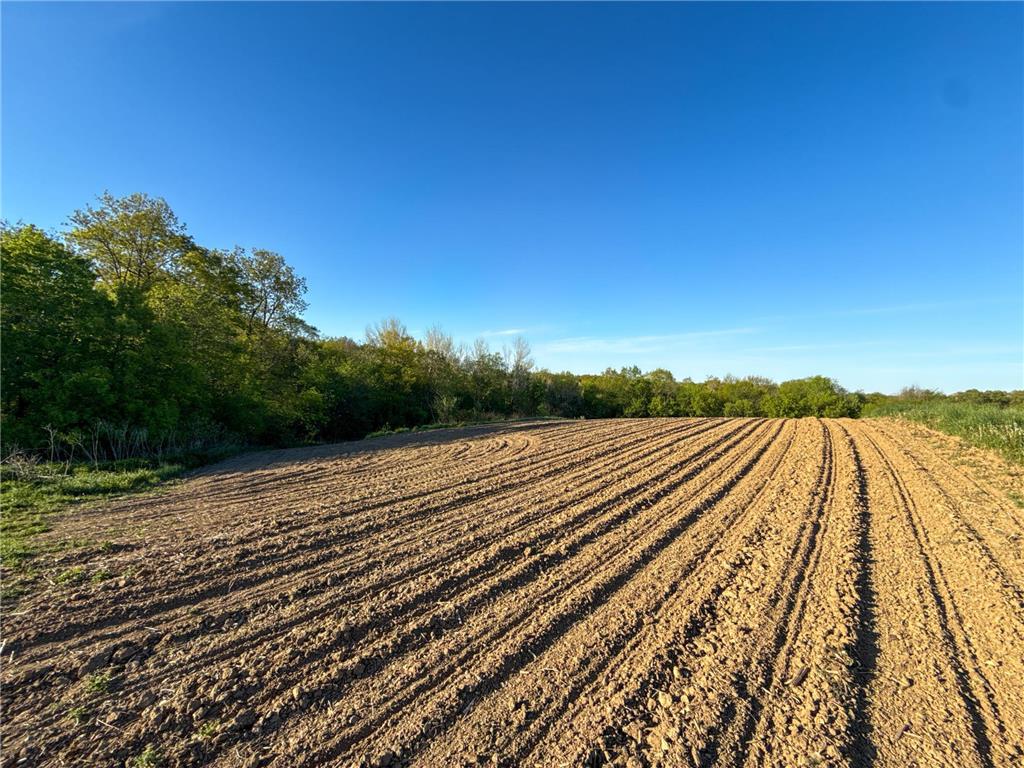 19807 Balentine Road Caledonia MN 55921 7074217 image85