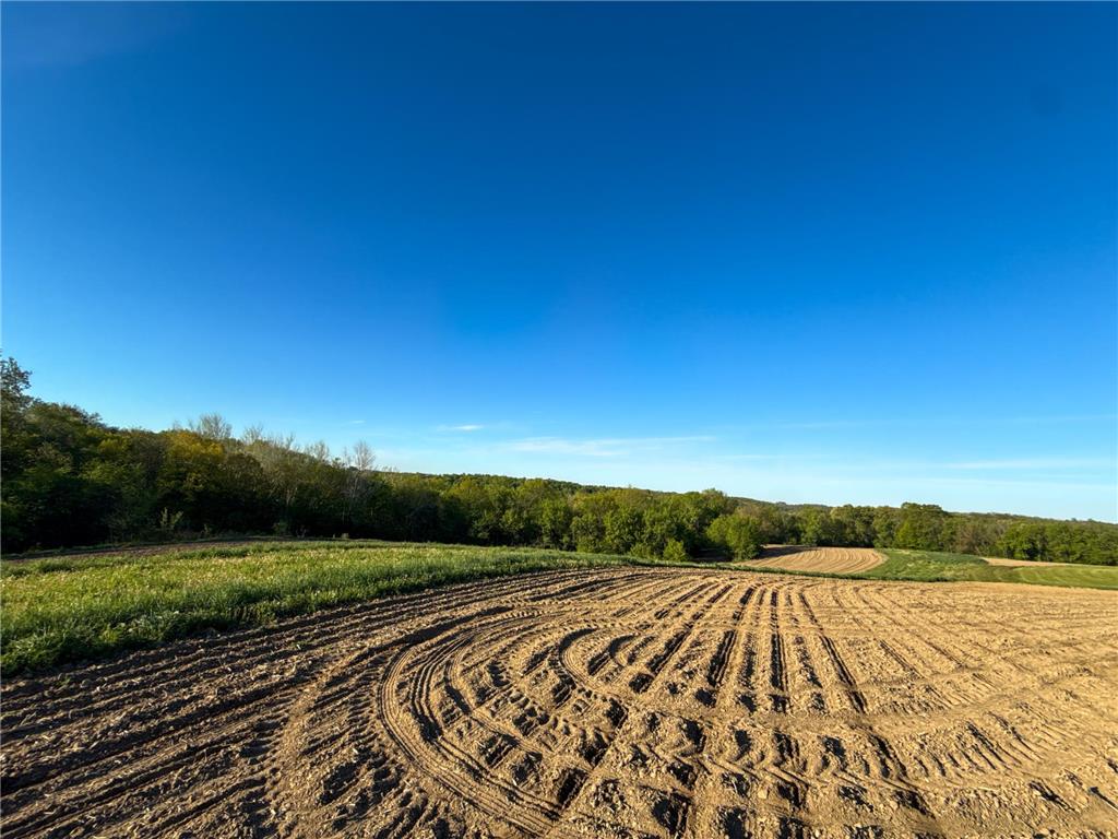 19807 Balentine Road Caledonia MN 55921 7074217 image86