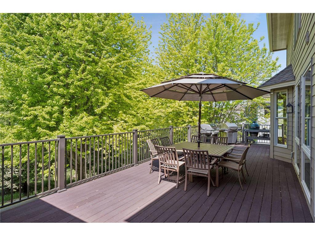 1981 Topaz Drive Chanhassen MN 55317 7081564 image66