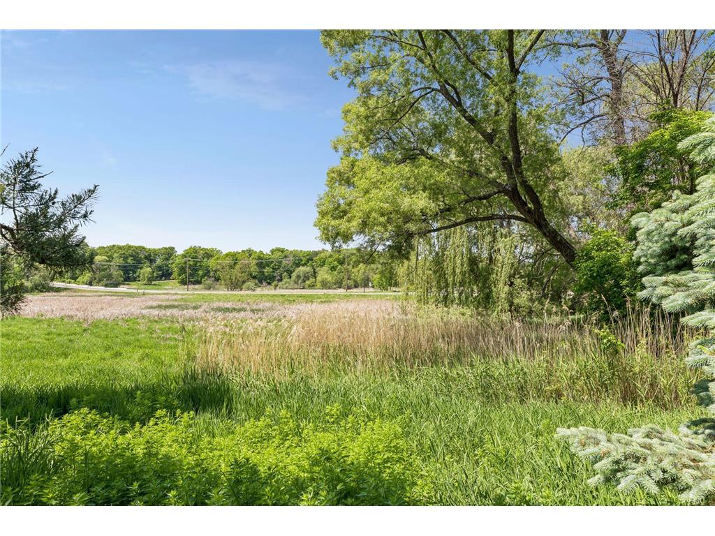 1981 Topaz Drive Chanhassen MN 55317 7081564 image74