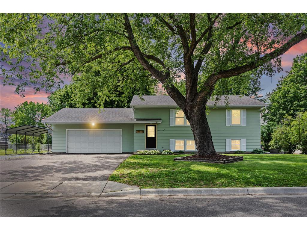 19815 Chili Avenue Empire Twp MN 55024 7082510 image1