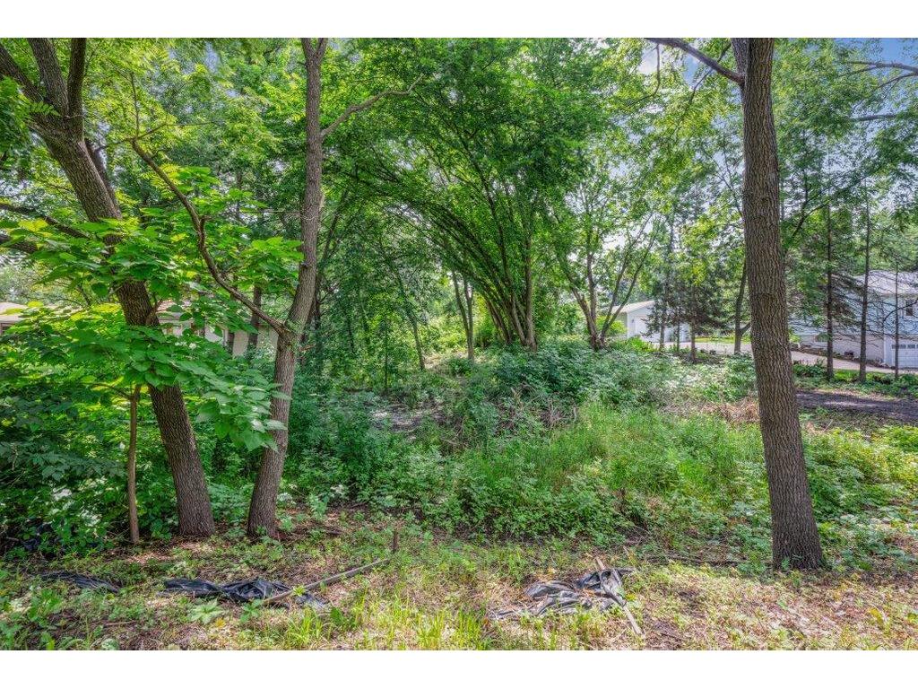 1984 Prosperity Road N Maplewood MN 55109 7022327 image5