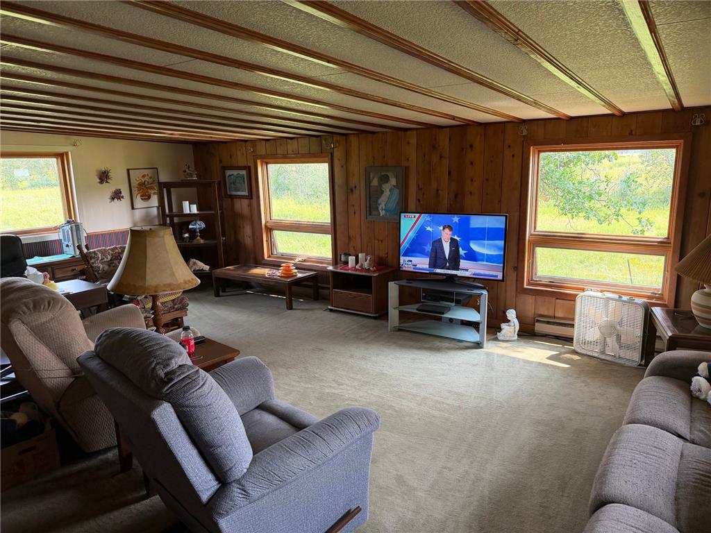 1985 63rd Street SW Swiftwater Twp MN 56623 - Rapid River 7115617 image4