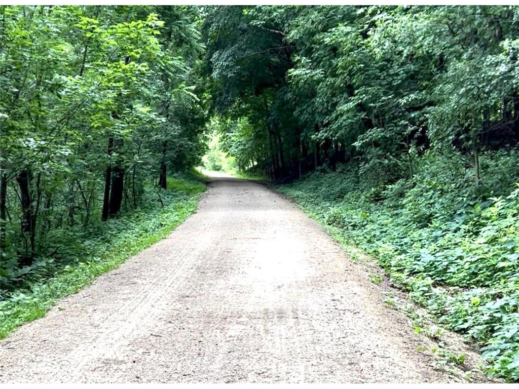 19860 Cottagewood Road Deephaven MN 55331 - Lake Minnetonka 7043361 image28