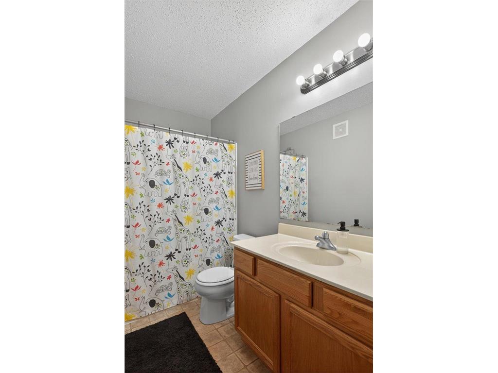 19870 Itea Avenue Lakeville MN 55044 7085319 image18