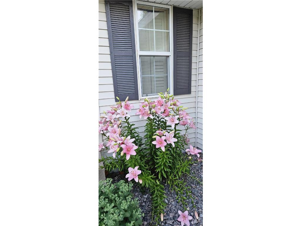 19886 Evensong Avenue Farmington MN 55024 7089197 image3
