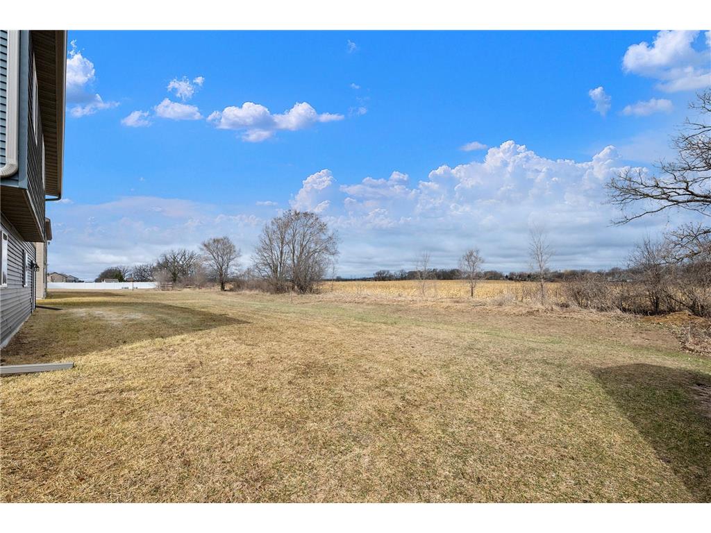 19894 Truman Drive Big Lake MN 55309 7051047 image30