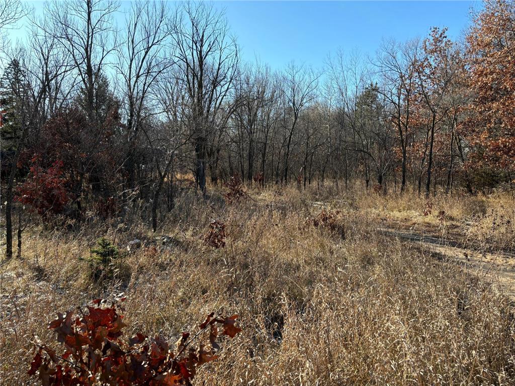 199 High Drive Sartell MN 56377 6635954 image3