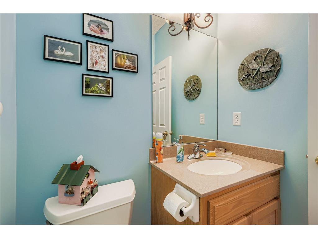 19917 Butternut Trail Farmington MN 55024 6805765 image15