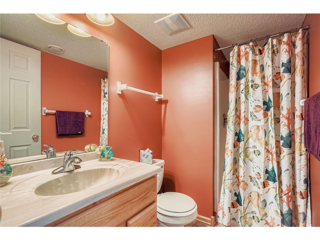 19917 Butternut Trail Farmington MN 55024 6805765 image26