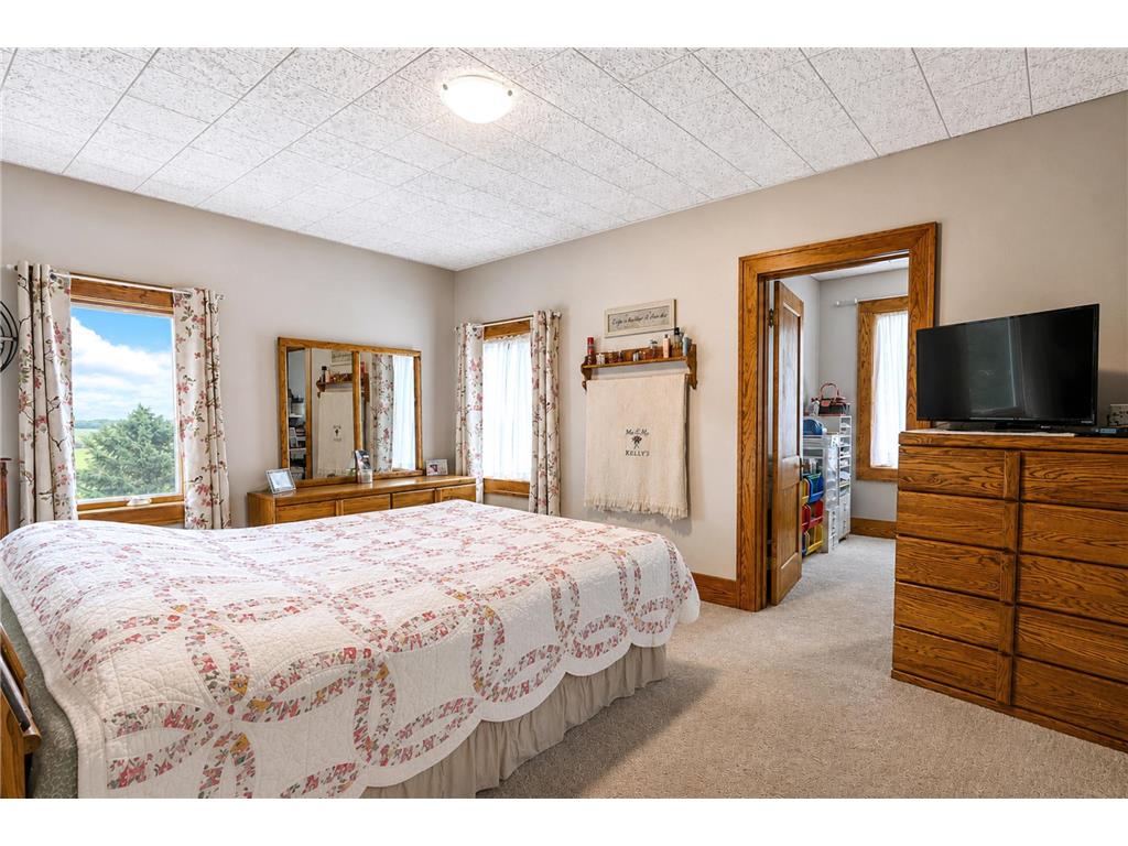 19933 900th Avenue Oakland Twp MN 55912 7107993 image23