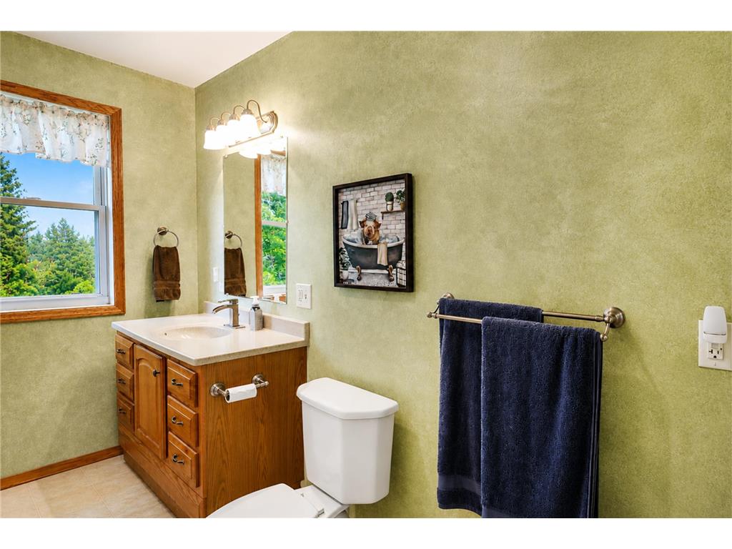 19933 900th Avenue Oakland Twp MN 55912 7107993 image34