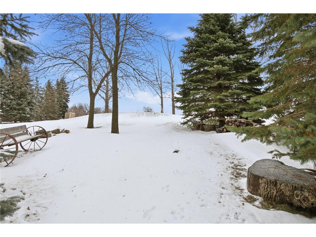 19936 Major Avenue Hutchinson Twp MN 55350 6819796 image23