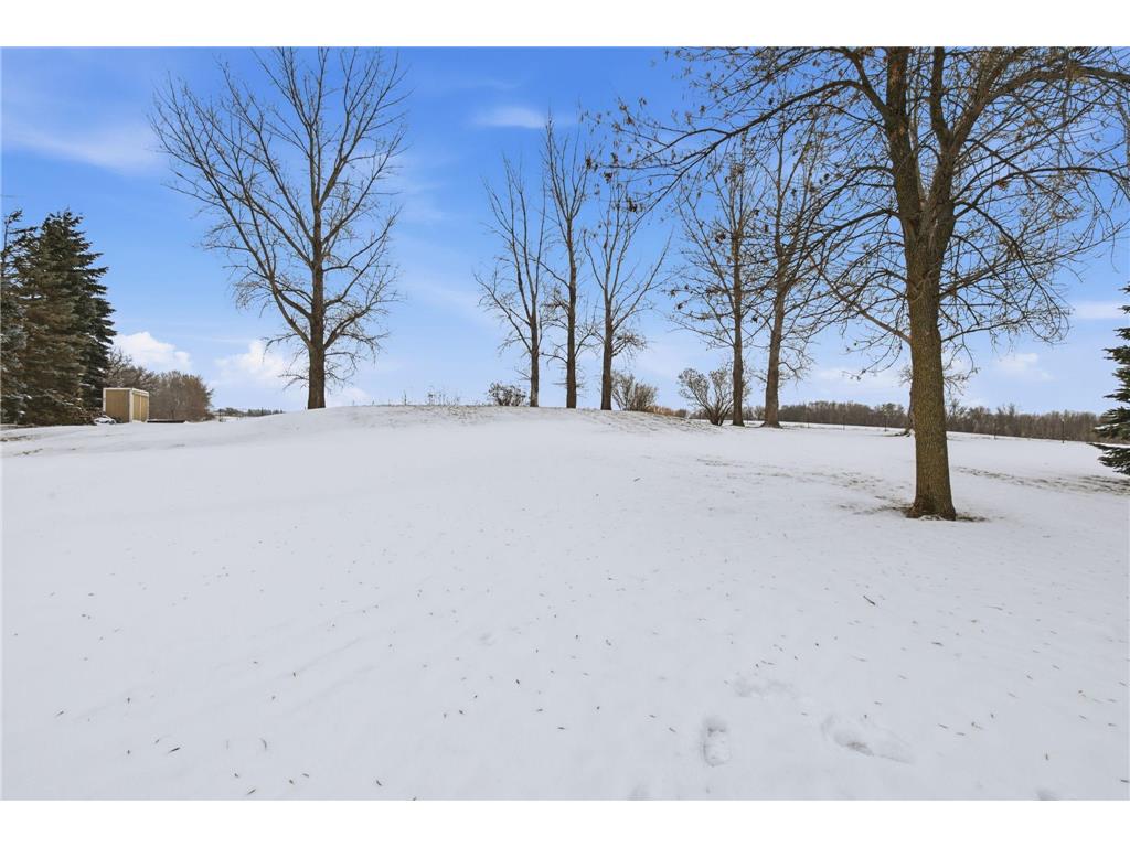 19936 Major Avenue Hutchinson Twp MN 55350 6819796 image24