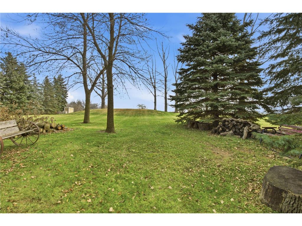 19936 Major Avenue Hutchinson Twp MN 55350 7066302 image16