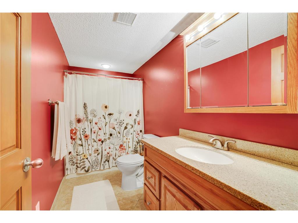 19951 Excelsior Lane Farmington MN 55024 7079444 image30