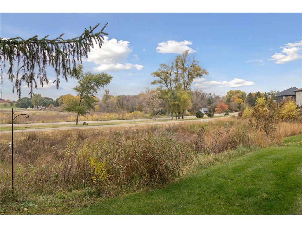 19951 Hiawatha Court Lakeville MN 55044 7006809 image60