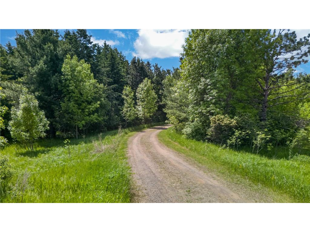 1999 Amaryllis Court Arthur Twp MN 55051 - Snake River 7085045 image34