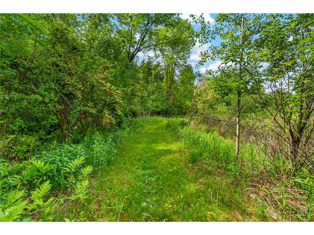 1999 Amaryllis Court Arthur Twp MN 55051 - Snake River 7085045 image42