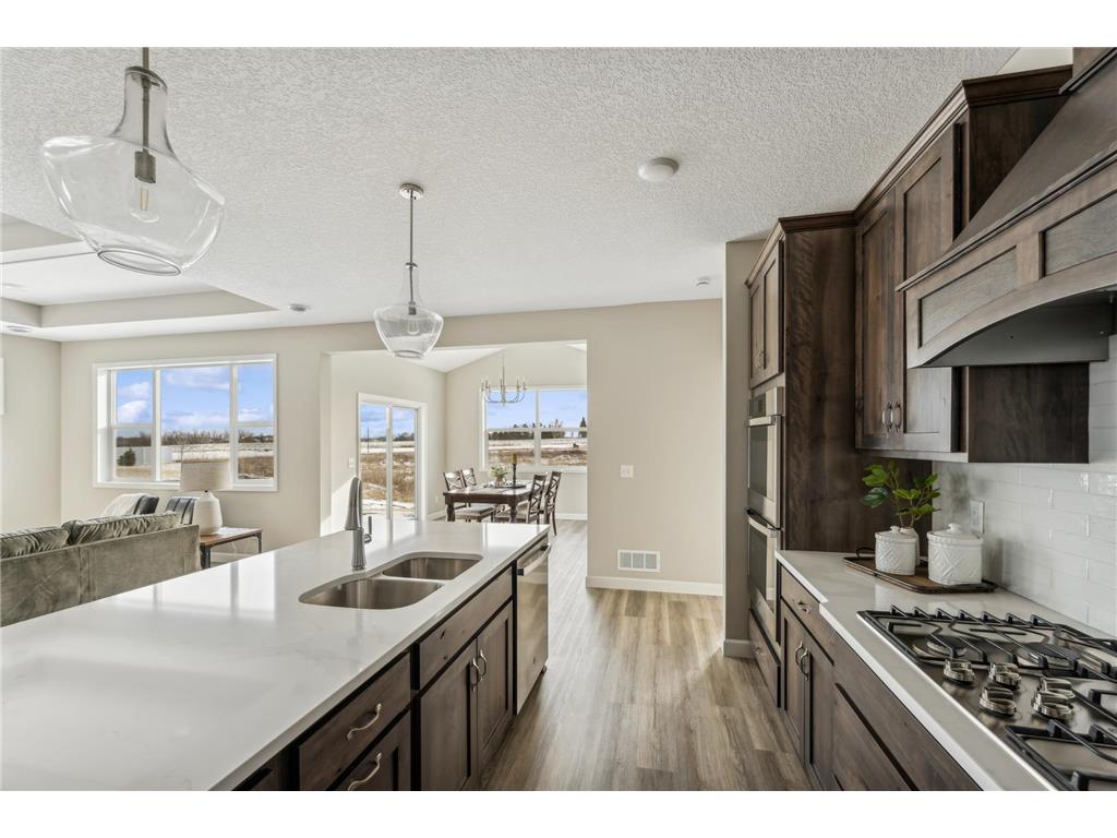 19993 Hunters Ridge Corcoran MN 55374 7078508 image9