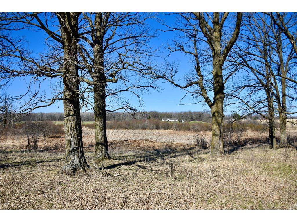 19XXX 150th Avenue Milaca MN 56353 7047704 image11