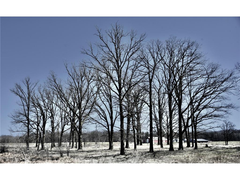 19XXX 150th Avenue Milaca MN 56353 7047704 image12