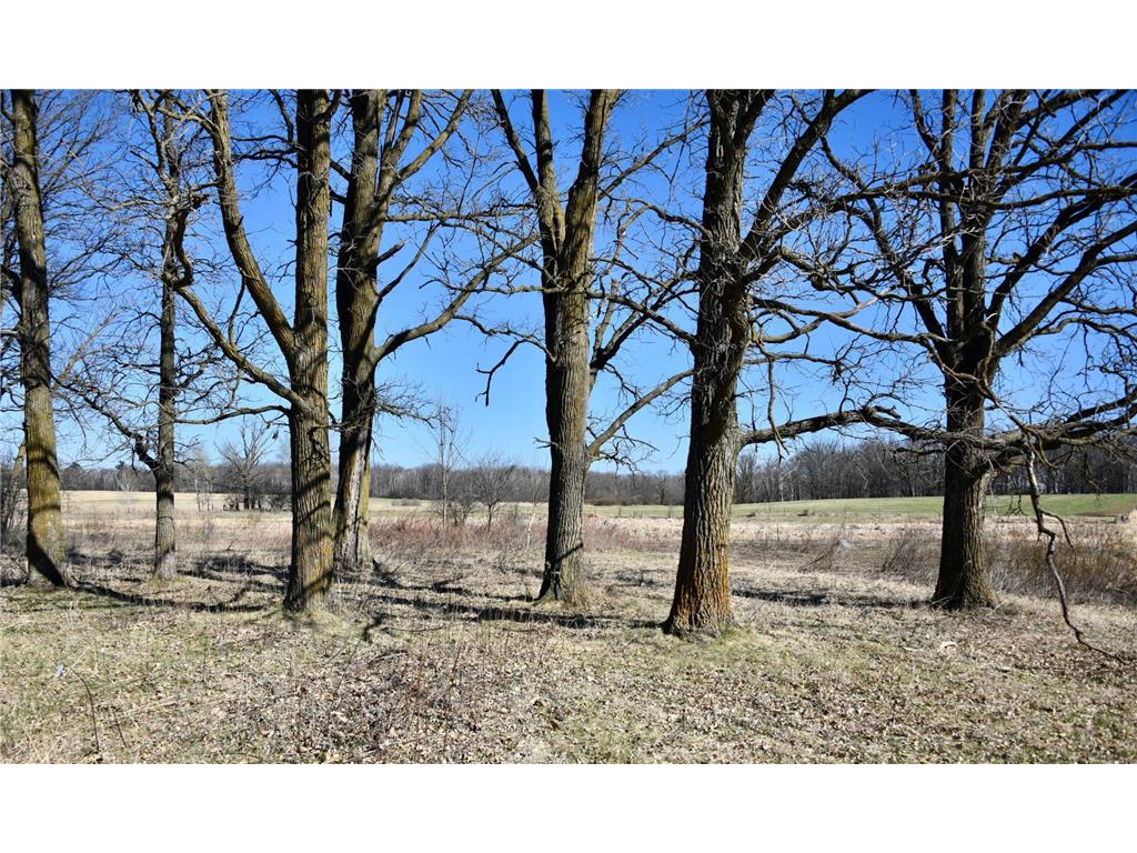 19XXX 150th Avenue Milaca MN 56353 7047704 image19